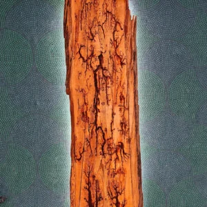 Kelo valotaulu